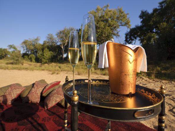 Exeter Dulini Private Game Lodge - Champagne 